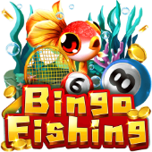 Bingo Fishing on AMJL